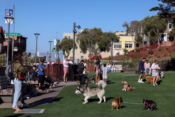Pepi's Dog Park at Francisco Park